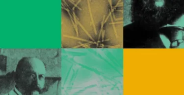 100 Years of Virology: The Birth and Growth of a Discipline