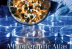 A Photographic Atlas for the Microbiology Laboratory, 4th Edition