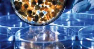 A Photographic Atlas for the Microbiology Laboratory, 4th Edition