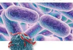 Animal Microbiology (2020, Alpha Science International) - Hu Jianhe, Bolin Hang