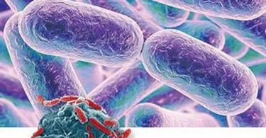 Animal Microbiology (2020, Alpha Science International) - Hu Jianhe, Bolin Hang