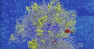 Antibiotics: Challenges, Mechanisms, Opportunities, 2nd Edition