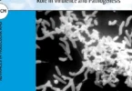 Bacterial Cell-to-Cell Communication: Role in Virulence and Pathogenesis (Cambridge University Press)