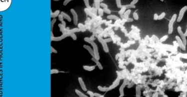Bacterial Cell-to-Cell Communication: Role in Virulence and Pathogenesis (Cambridge University Press)