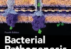 Bacterial Pathogenesis: A Molecular Approach, 4th Edition