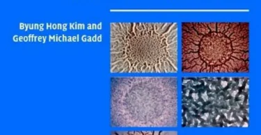 Bacterial Physiology and Metabolism (Cambridge University Press)