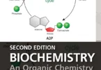 Biochemistry: An Organic Chemistry Approach, 2nd Edition