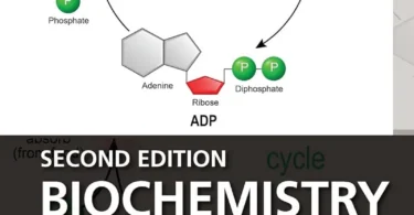 Biochemistry: An Organic Chemistry Approach, 2nd Edition
