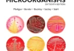 Brock Biology of Microorganisms 16th Edition (2021, Pearson)