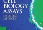 Cell Biology Assays: Essential Methods, 1st Edition