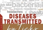 Diseases Transmitted by Ticks (Series Infectious Diseases and Microbiology)