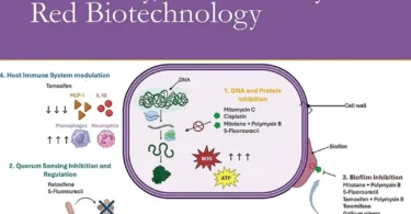 Drug Repurposing Chemistry, Biochemistry & Red Biotechnology