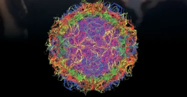 Fenner and White's Medical Virology, 5th Edition