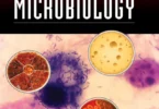 Fundamental Food Microbiology, 5th Edition