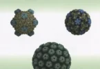 Fundamentals of Molecular Virology, 2nd Edition
