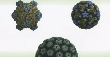 Fundamentals of Molecular Virology, 2nd Edition