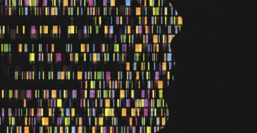 Genetics: From Genes to Genomes 7th Edition