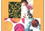 Handbook of Bacteriology