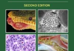 Infectious Diseases and Pathology of Reptiles: Color Atlas and Text, Diseases and Pathology of Reptiles Volume 1