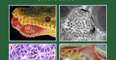 Infectious Diseases and Pathology of Reptiles: Color Atlas and Text, Diseases and Pathology of Reptiles Volume 1