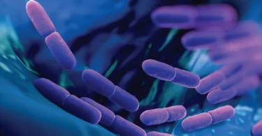 Jawetz, Melnick, & Adelberg’s Medical Microbiology – 28th Edition