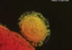 Laboratory Exercises in Microbiology, 12th Edition
