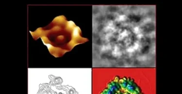 Methods in Nano Cell Biology (Volume 90)