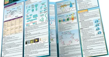 Microbiology QuickStudy Laminated Reference Guide (QuickStudy Academic)