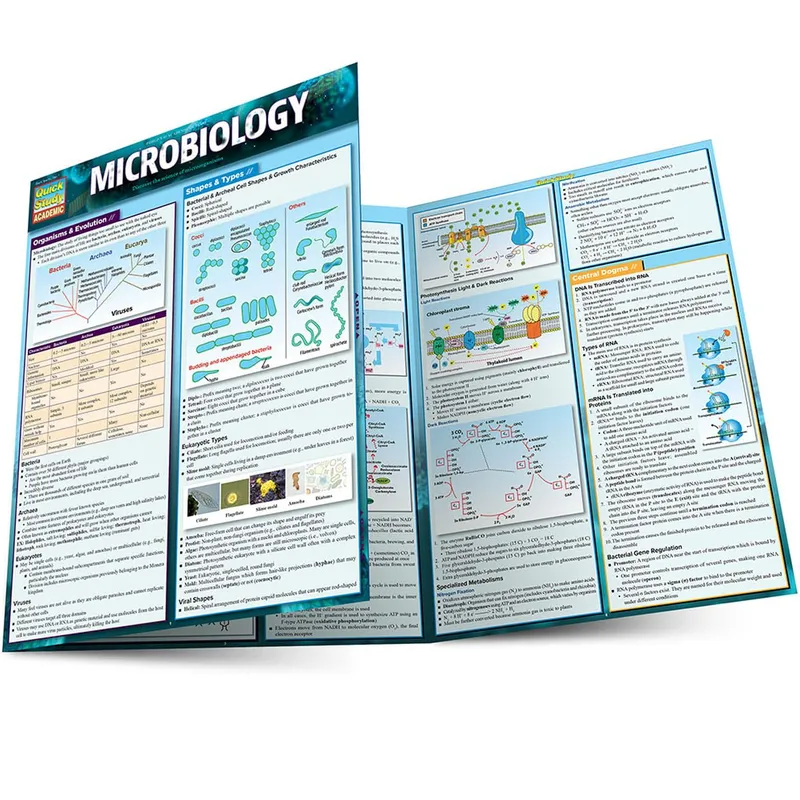 Microbiology QuickStudy Laminated Reference Guide (QuickStudy Academic)