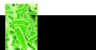Microbiology for Medical Laboratory Technology Students