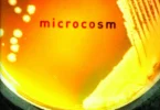 Microcosm: E. coli and the New Science of Life