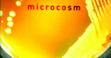 Microcosm: E. coli and the New Science of Life