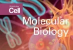Molecular Biology 3rd Edition - David P. Clark