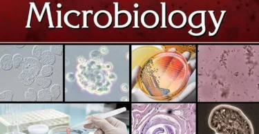 Molecular Food Microbiology, 1st Edition