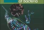 Molecular Genetics of Bacteria, 4th Edition