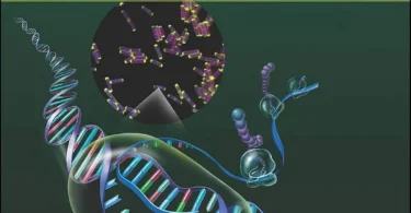 Molecular Genetics of Bacteria, 4th Edition
