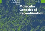 Molecular Genetics of Recombination (Topics in Current Genetics, 17)