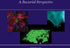 Molecular Paradigms of Infectious Disease: A Bacterial Perspective