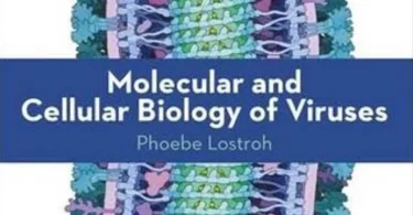 Molecular and Cellular Biology of Viruses, 1st Edition