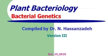 Plant Bacteriology: Bacterial Genetics – Nader Hassanzadeh