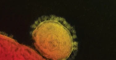 Prescott's Microbiology, 12th Edition - Joanne Willey