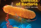 Snyder and Champness Molecular Genetics of Bacteria (ASM Books) 5th Edition