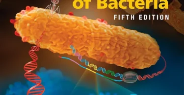 Snyder and Champness Molecular Genetics of Bacteria (ASM Books) 5th Edition