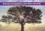 Soil Microbiology, 4th Edition