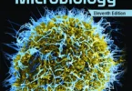 Talaro's Foundations in Microbiology: Basic Principles, 11th Edition