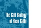The Cell Biology of Stem Cells (Advances in Experimental Medicine and Biology, Volume 695)