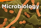 The Complete Idiots Guide to Microbiology: Simple Explanations of Complex Concepts About the Tiniest Life Forms