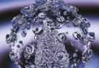 Virology: Principles and Applications, 2nd Edition