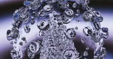 Virology: Principles and Applications, 2nd Edition
