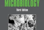 Wastewater Microbiology 3rd Edition